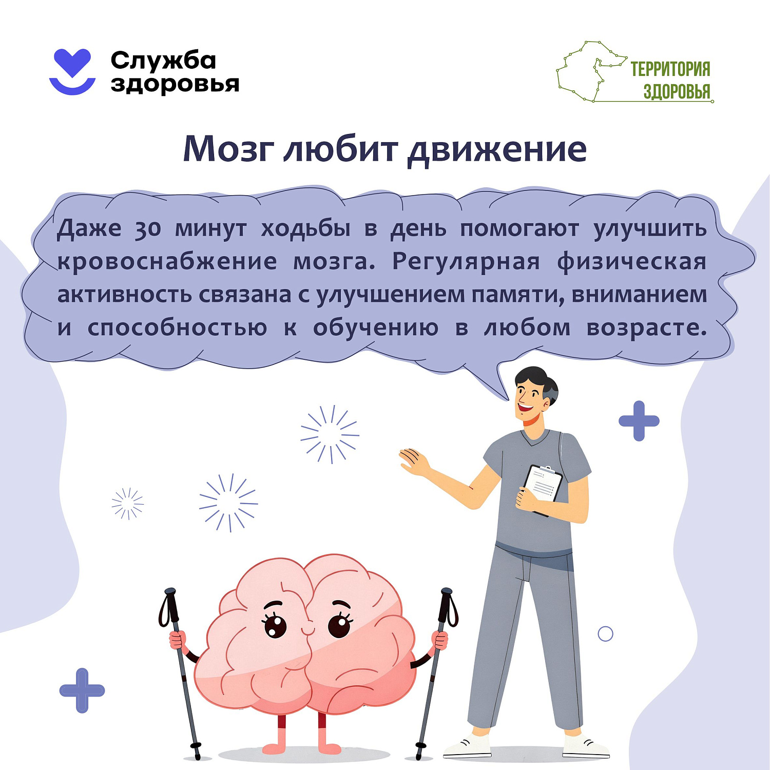 Сохранение здоровья головного мозга 