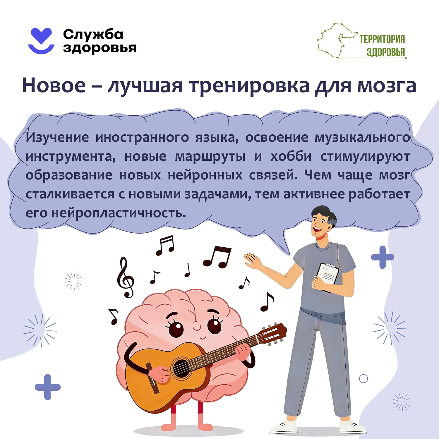 Сохранение здоровья головного мозга 