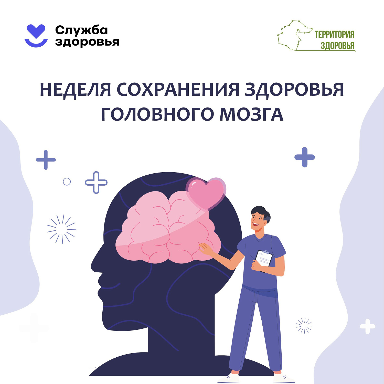 Сохранение здоровья головного мозга 