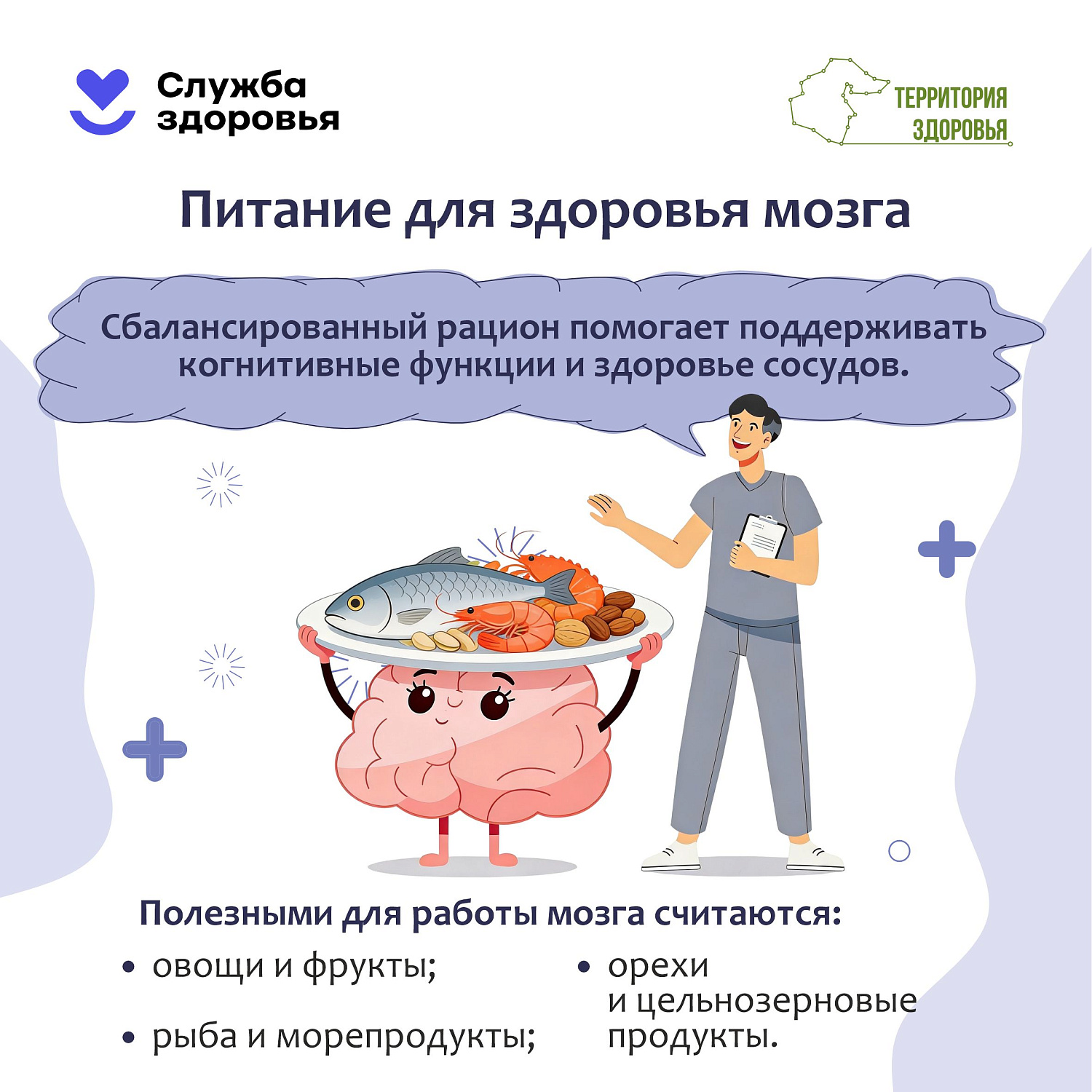 Сохранение здоровья головного мозга 