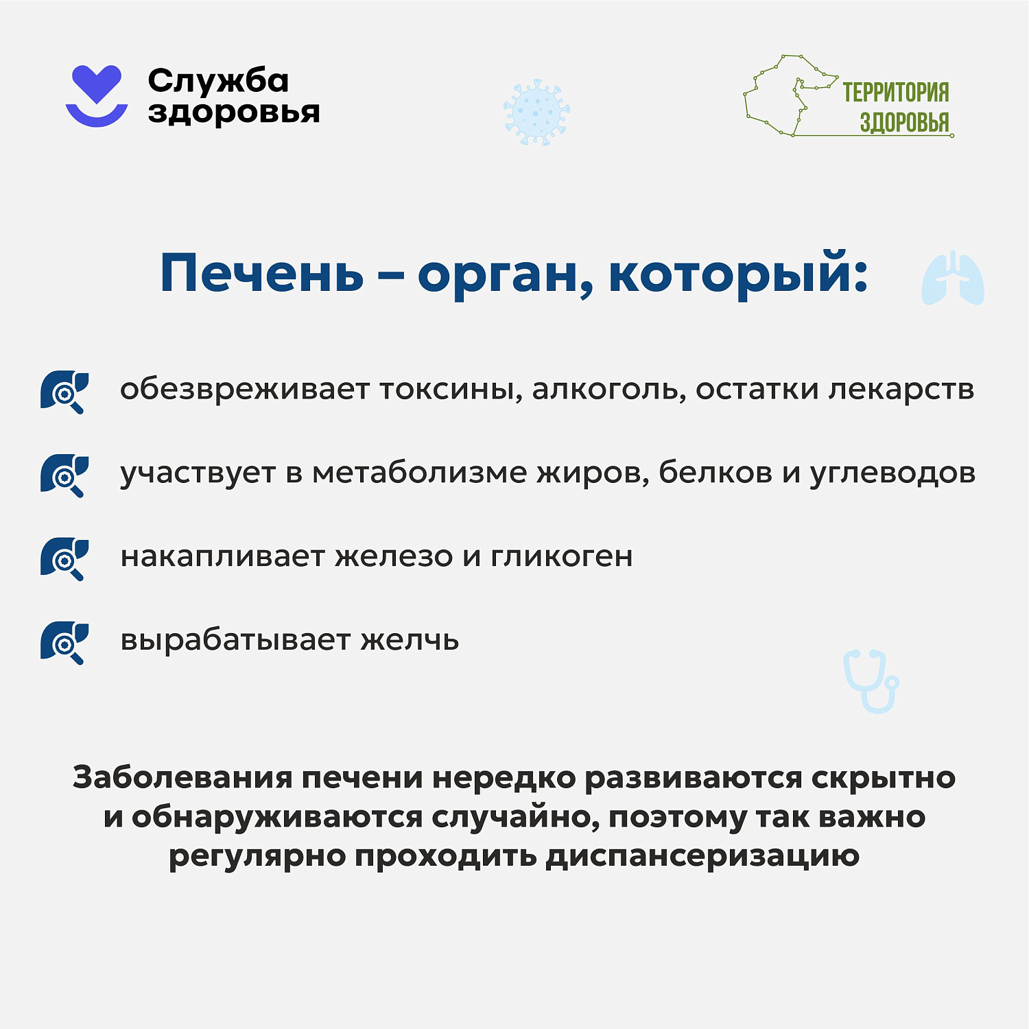 Профилактика заболеваний печени 