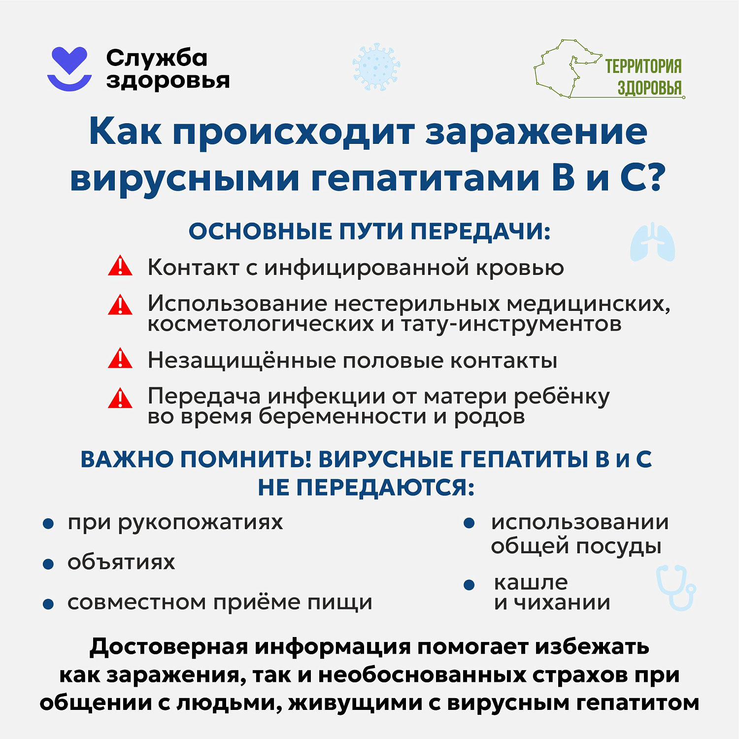 Профилактика заболеваний печени 